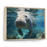 Turquoise Grey Manatee Majesty - Manatee Bedroom Wall Art