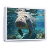 Turquoise Grey Manatee Majesty - Manatee Bedroom Wall Art