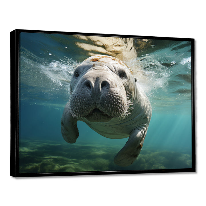 Turquoise Grey Manatee Portrait - Manatee Canvas Wall Art