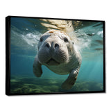 Turquoise Grey Manatee Portrait - Manatee Canvas Wall Art