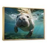Turquoise Grey Manatee Portrait - Manatee Canvas Wall Art