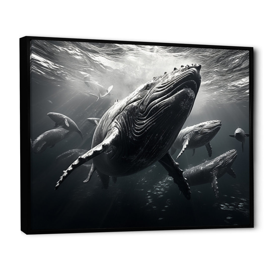 Grey Marine Animals Graceful Giants - Marine Animals Wall Art Prints