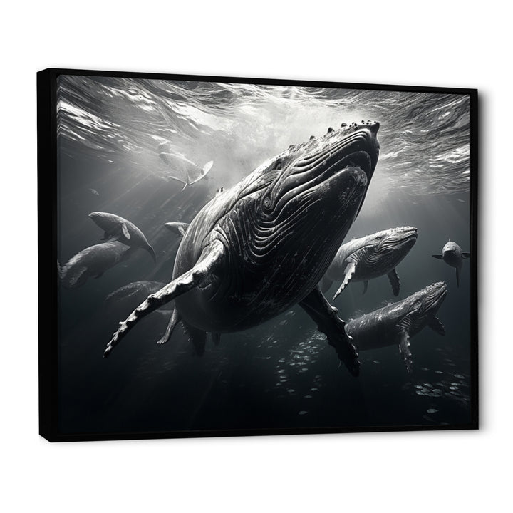 Grey Marine Animals Graceful Giants - Marine Animals Wall Art Prints