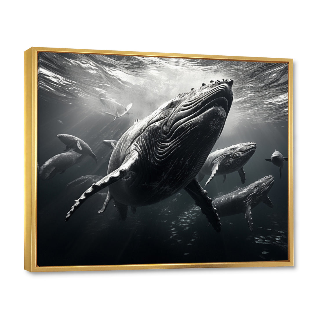 Grey Marine Animals Graceful Giants - Marine Animals Wall Art Prints