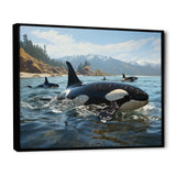 Black White Marine Animals Majestic Orcas - Marine Animals Living Room Wall Art