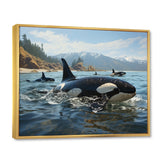 Black White Marine Animals Majestic Orcas - Marine Animals Living Room Wall Art