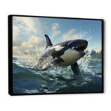 White Black Marine Animals Majestic Orcas - Marine Animals Bedroom Wall Art