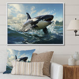 White Black Marine Animals Majestic Orcas - Marine Animals Bedroom Wall Art