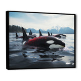 Black Red Marine Animals Majestic Orcas - Marine Animals Canvas Wall Art