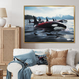 Black Red Marine Animals Majestic Orcas - Marine Animals Canvas Wall Art
