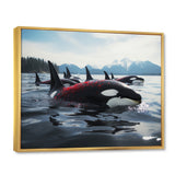 Black Red Marine Animals Majestic Orcas - Marine Animals Canvas Wall Art