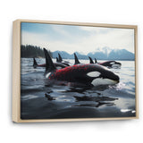 Black Red Marine Animals Majestic Orcas - Marine Animals Canvas Wall Art