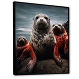Grey Red Seal Silent Guardians - Marine Animals Large Canvas Wall Art