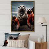 Grey Red Seal Silent Guardians - Marine Animals Large Canvas Wall Art