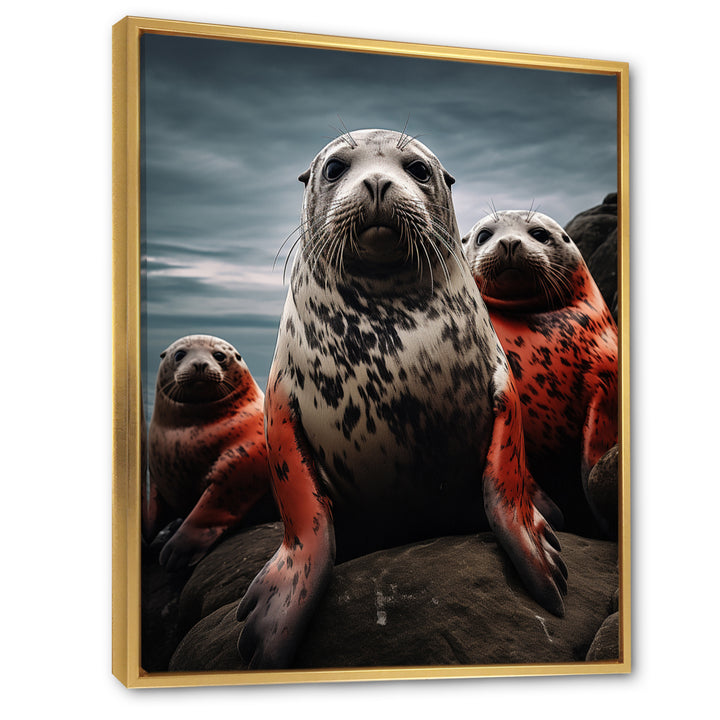 Grey Red Seal Silent Guardians - Marine Animals Large Canvas Wall Art