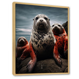 Grey Red Seal Silent Guardians - Marine Animals Large Canvas Wall Art