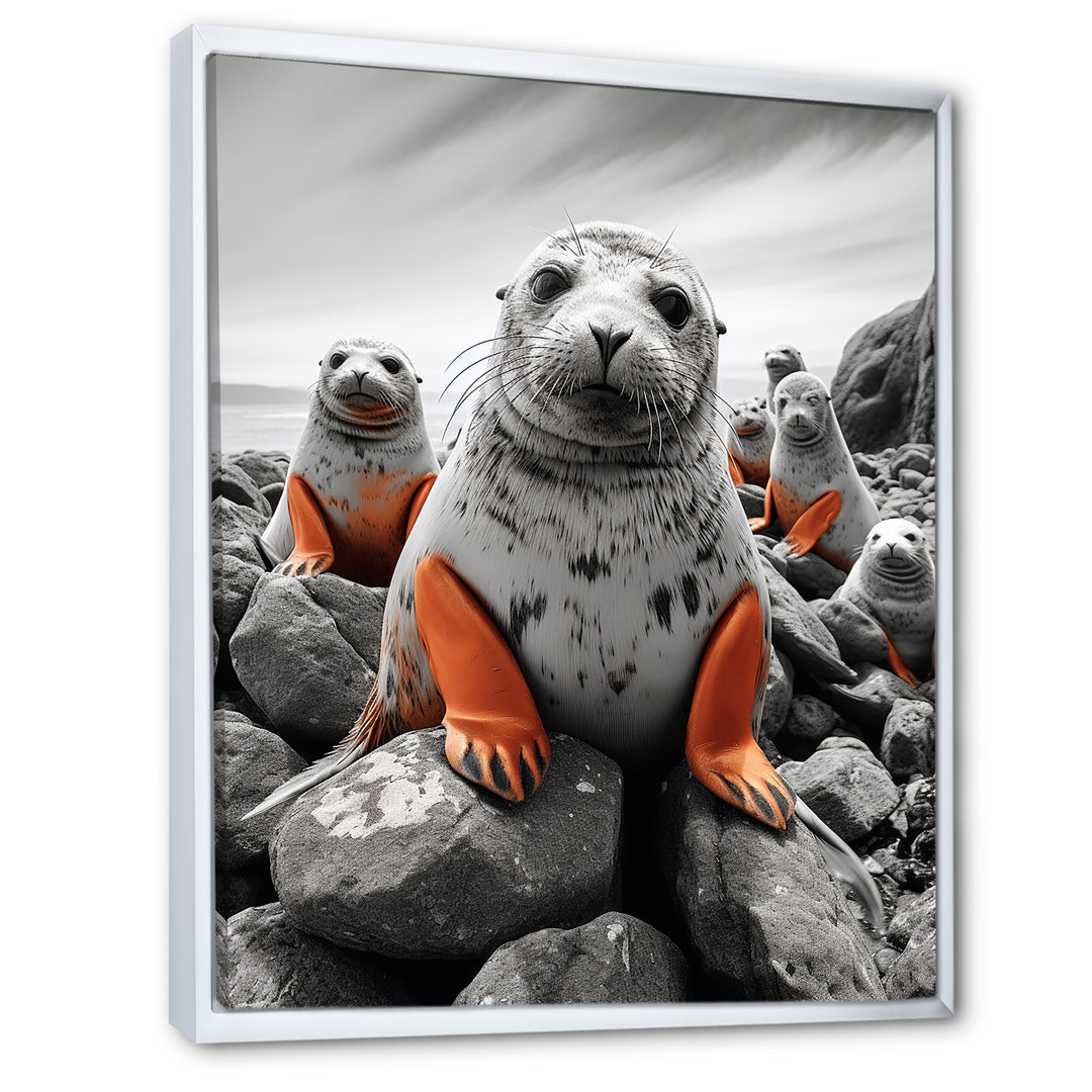 Grey Coral Seal Silent Guardians - Marine Animals Home Decor Art