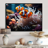 Orange Pink Clownfish Silent Underwater - Animals Canvas Wall Art