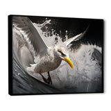 Grey Yellow Seagull Surfing On Waves - Marine Animals Wall Decor