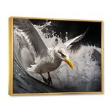 Grey Yellow Seagull Surfing On Waves - Marine Animals Wall Decor