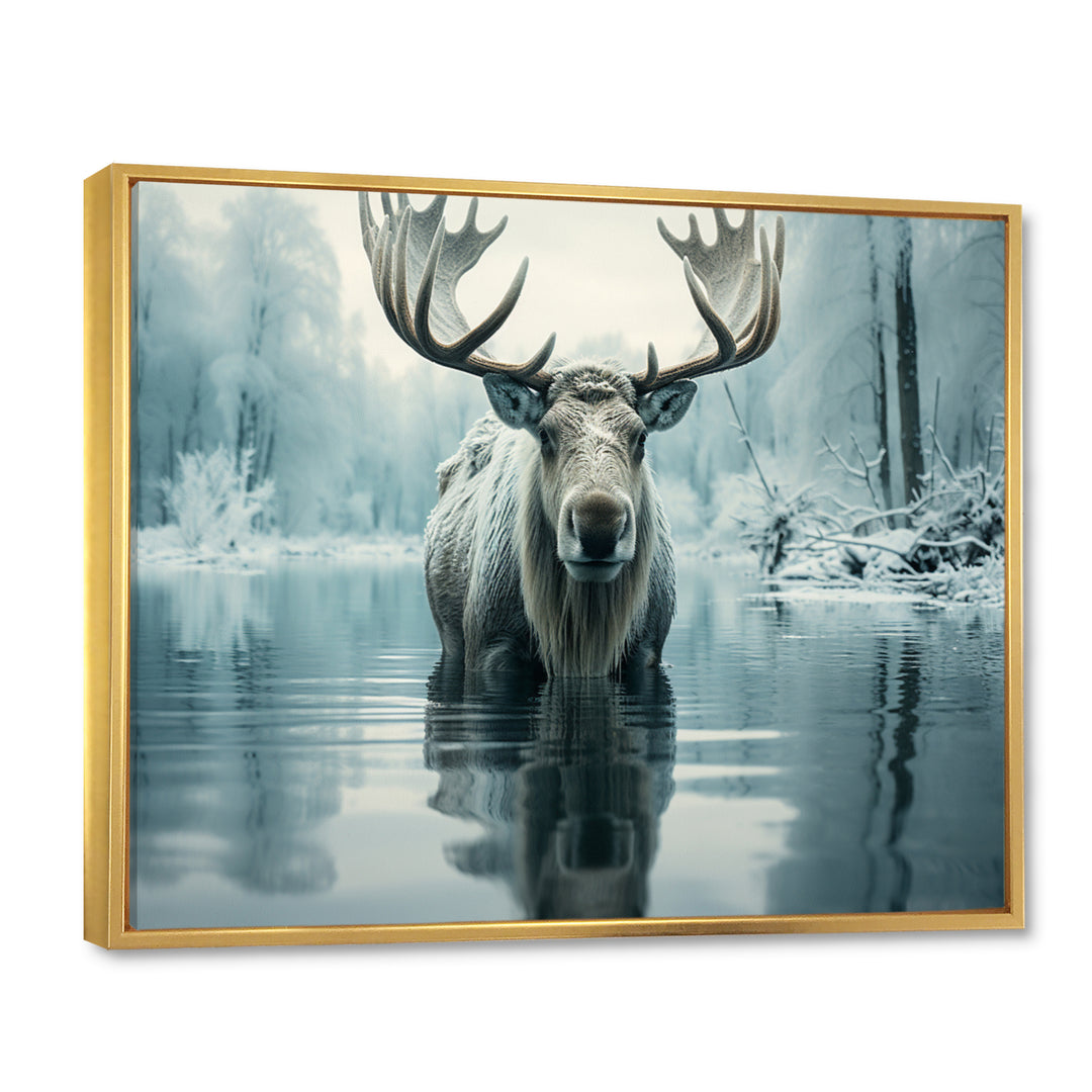 Blue Moose Arctic Reflection - Moose Canvas Wall Art