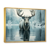 Blue Moose Arctic Reflection - Moose Canvas Wall Art