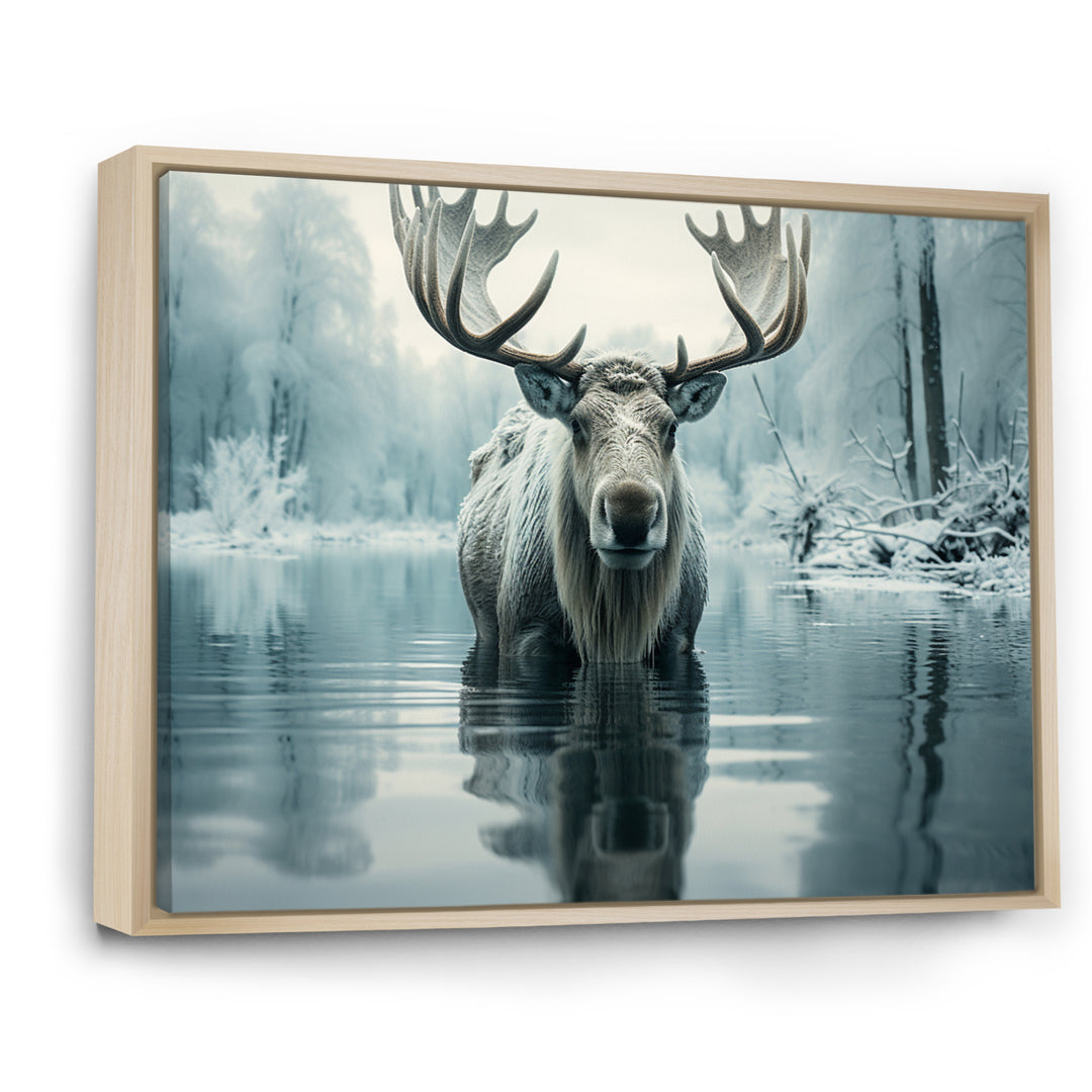 Blue Moose Arctic Reflection - Moose Canvas Wall Art