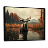 Brown Orange Moose Autumn Palette - Animals Canvas Wall Art