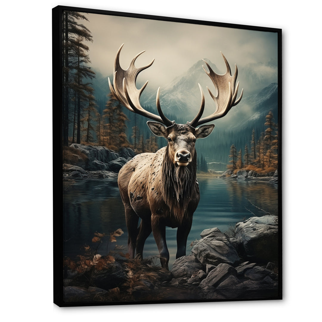 Grey Moose Coastal Wanderer - Moose Wall Art Prints
