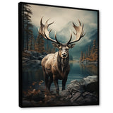 Grey Moose Coastal Wanderer - Moose Wall Art Prints