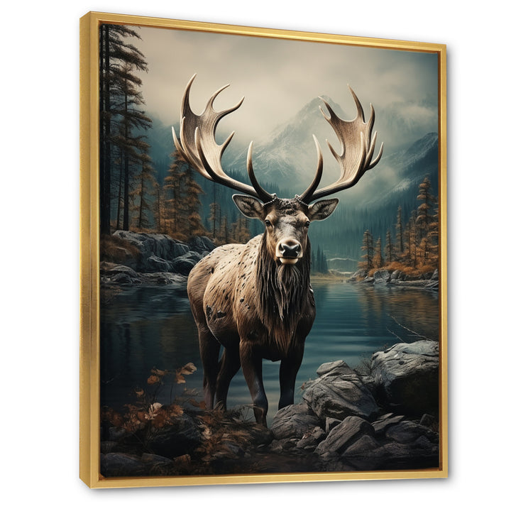 Grey Moose Coastal Wanderer - Moose Wall Art Prints