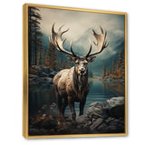 Grey Moose Coastal Wanderer - Moose Wall Art Prints