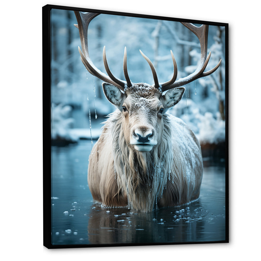 Moose Frozen Majesty - Moose Large Canvas Wall Art