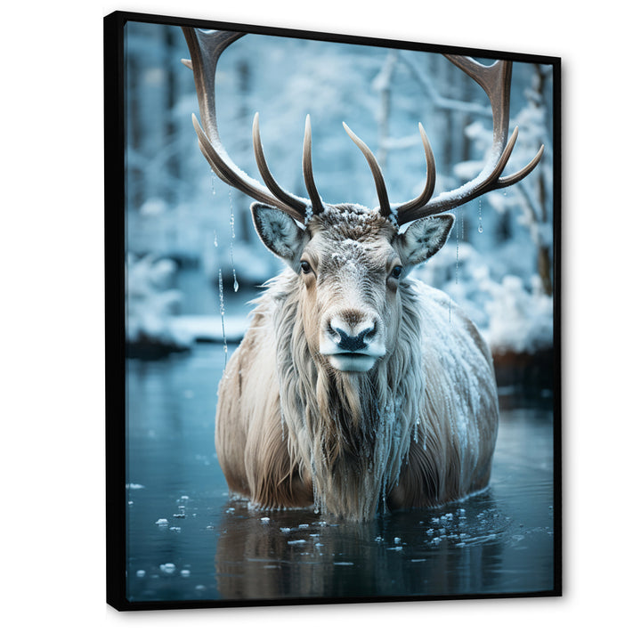 Moose Frozen Majesty - Moose Large Canvas Wall Art