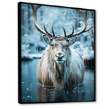 Moose Frozen Majesty - Moose Large Canvas Wall Art
