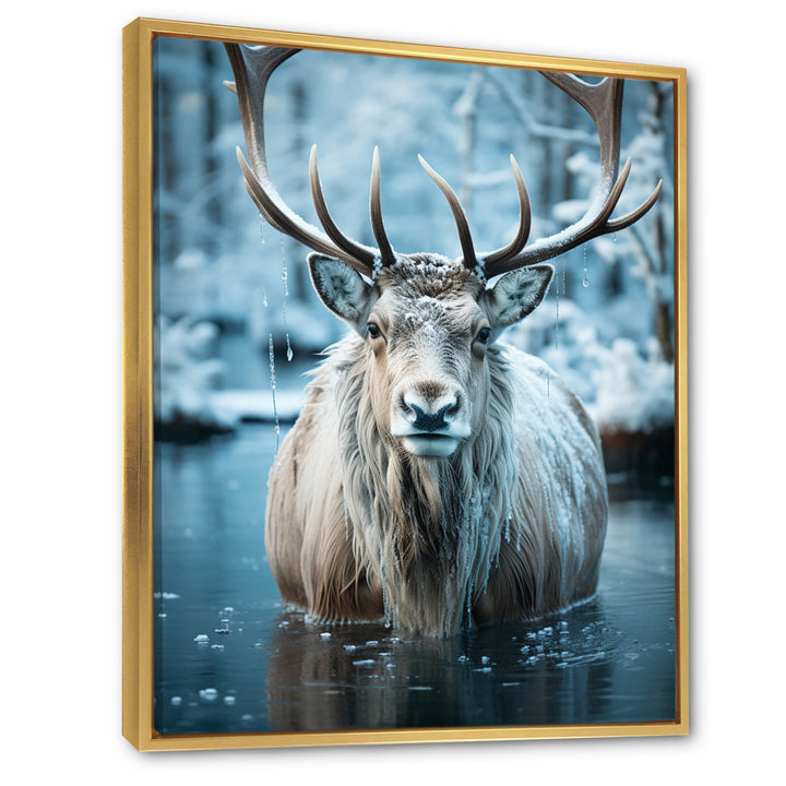 Moose Frozen Majesty - Moose Large Canvas Wall Art