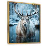 Moose Frozen Majesty - Moose Large Canvas Wall Art