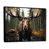 Brown Yellow Moose Majestic - Moose Home Decor Art