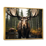 Brown Yellow Moose Majestic - Moose Home Decor Art