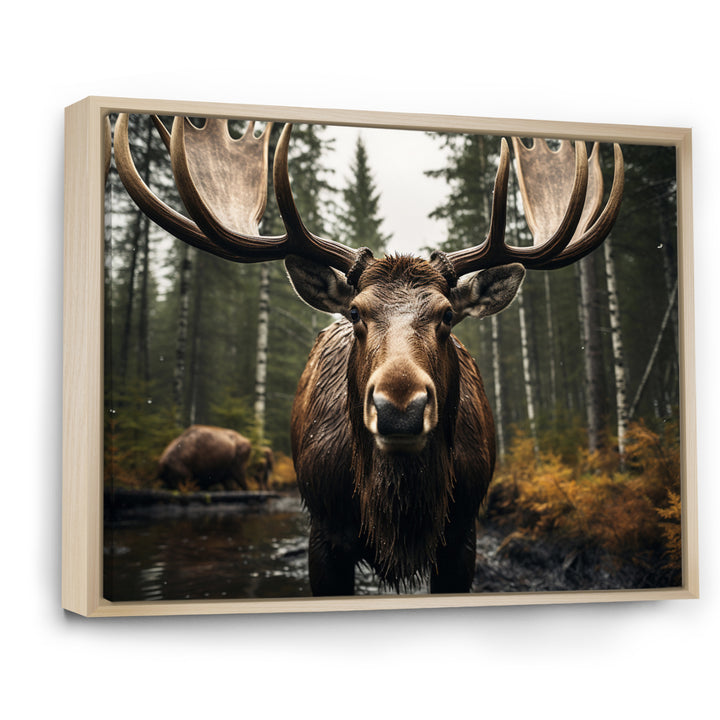 Brown Yellow Moose Majestic - Moose Home Decor Art