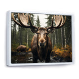 Brown Yellow Moose Majestic - Moose Home Decor Art