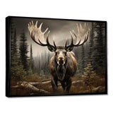 Brown Moose Majestic - Animals Canvas Wall Art