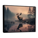 Brown Peach Moose Misty Morning - Moose Wall Art Prints