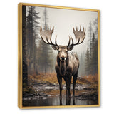 Brown Moose Monochrome Sands - Moose Wall Art Prints