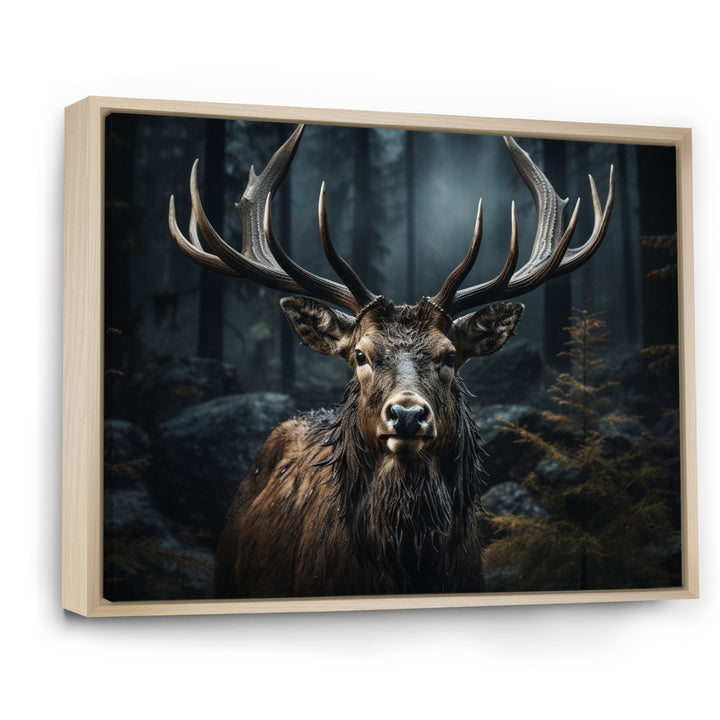 Black White Moose Portrait - Black Moose Wall Art