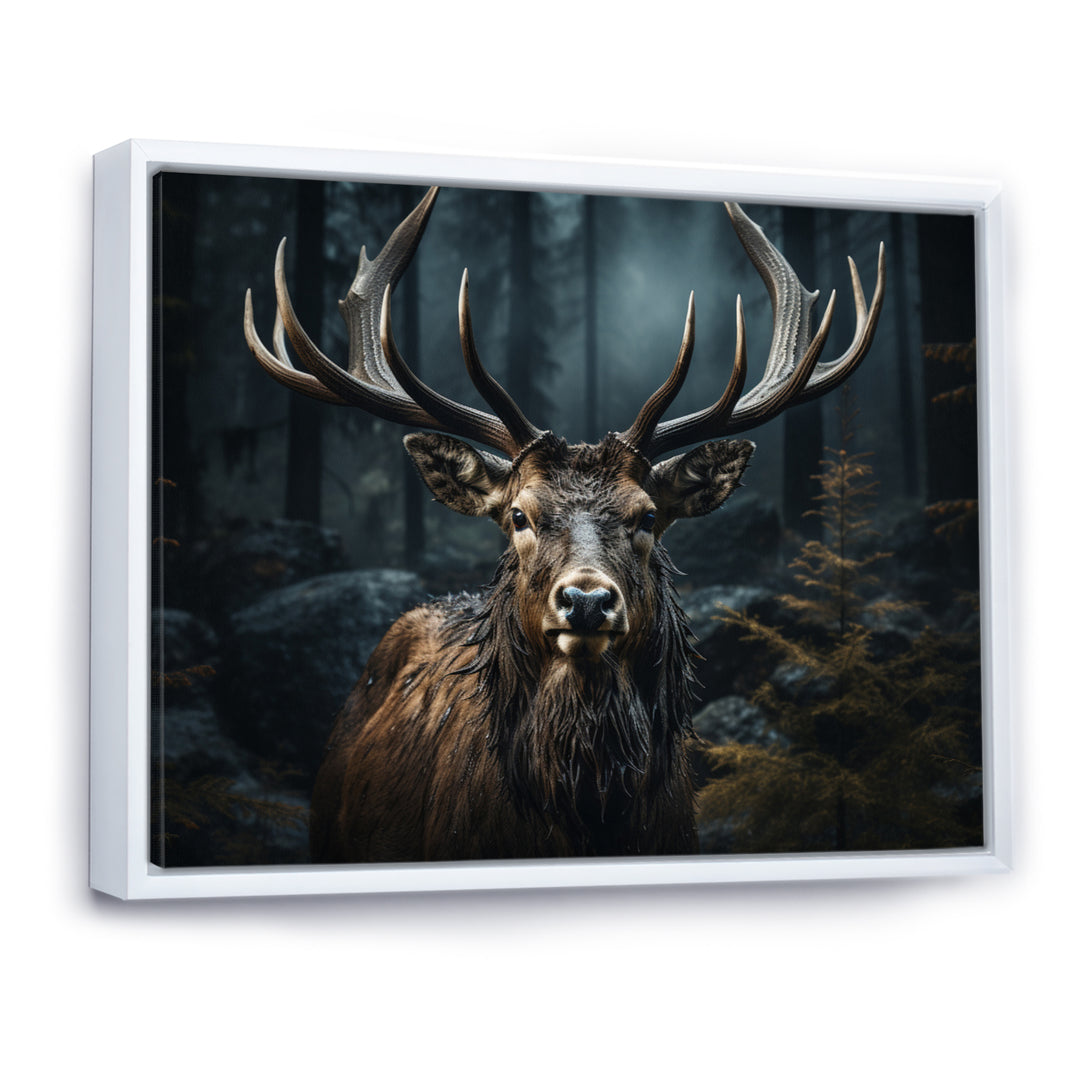 Black White Moose Portrait - Black Moose Wall Art