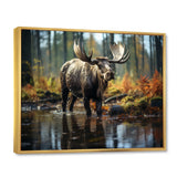 Brown Yellow Moose Canada - Moose Canvas Wall Art