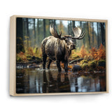 Brown Yellow Moose Canada - Moose Canvas Wall Art