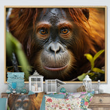 Orangutan Photo Portrait - Orangutan Living Room Wall Art