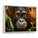 Orangutan Photo Portrait - Orangutan Living Room Wall Art